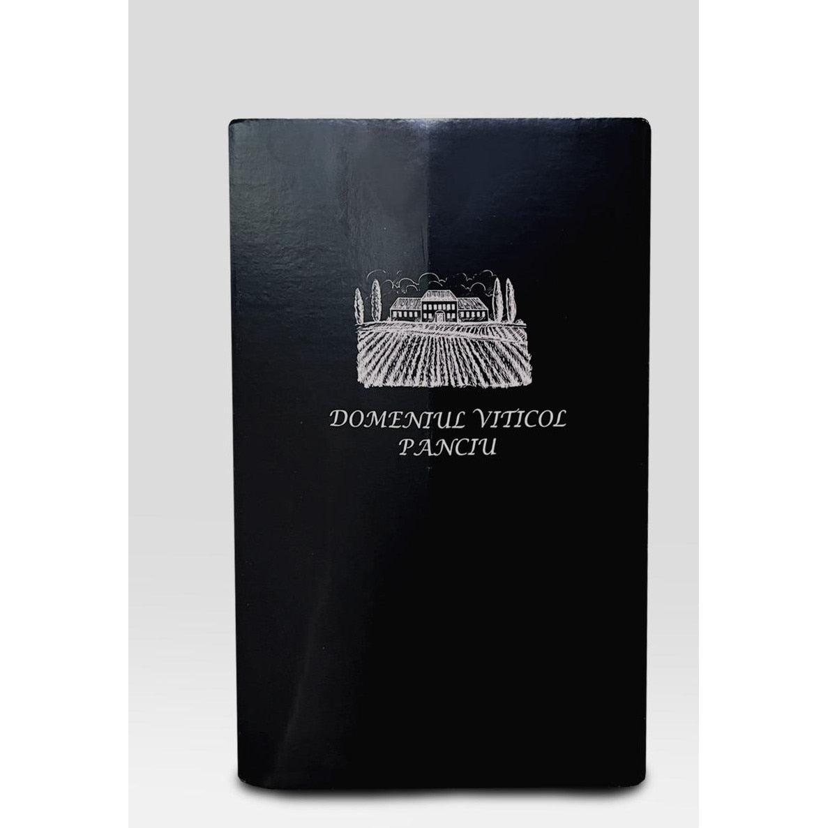 Vin demisec DOMENIUL VITICOL PANCIU 3L